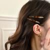 2 Pcs Simple Acetate Bangs Hairpins Women Oval Geometric Hair Side Clips Colorful Duckbill Clips One-word Clip Hair Accessories