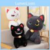Soft Plush Dark Pirate Cat Doll Adorable Cuddly Toy For Girls Perfect Gift For Girlfriend