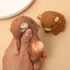 Stress Relief Toy Funny Sensory Toy For Gift