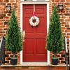 Artificial 120cm Set of Artificial Pine and Cypress Trees with Features photocatalytic realistic easy care watering and no Suitable for indoor and