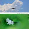 Canon RF 100-400mm F5.6-8 IS USM Telephoto Zoom Lens