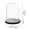 Glass Dome Showcase for Delicate Treasures