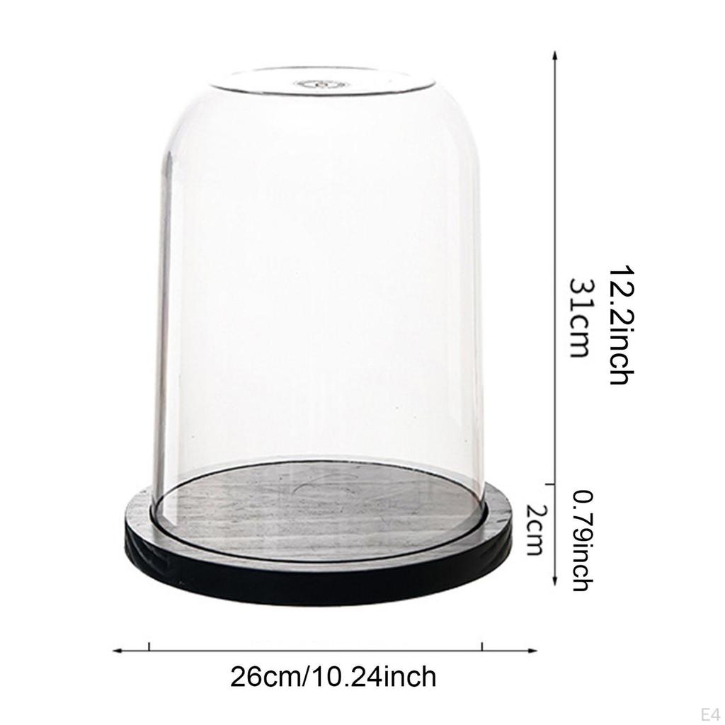 Glass Dome Showcase for Delicate Treasures