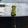 2Pcs/Set Garden Frog Figurine Mini Fishing Frog Statue Sitting Frog Holding Leaf Umbrella Pond Angler Frog Sculpture for Yard Landscape Indoor Outdoor