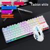In-Stock RGB 87-Key True Mechanical Wired Keyboard, Blue Switch, for PC, Laptop, Office, and E-sports.