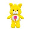 Soft And Cuddly Care Bears Plush Toy Series Including Heart Animal Friends In Rainbow Colors