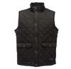 Tyler Vest