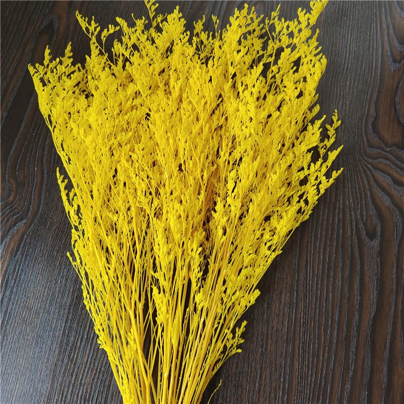 Everlasting White Dried Baby's Breath Flowers for Home Decor and Photography