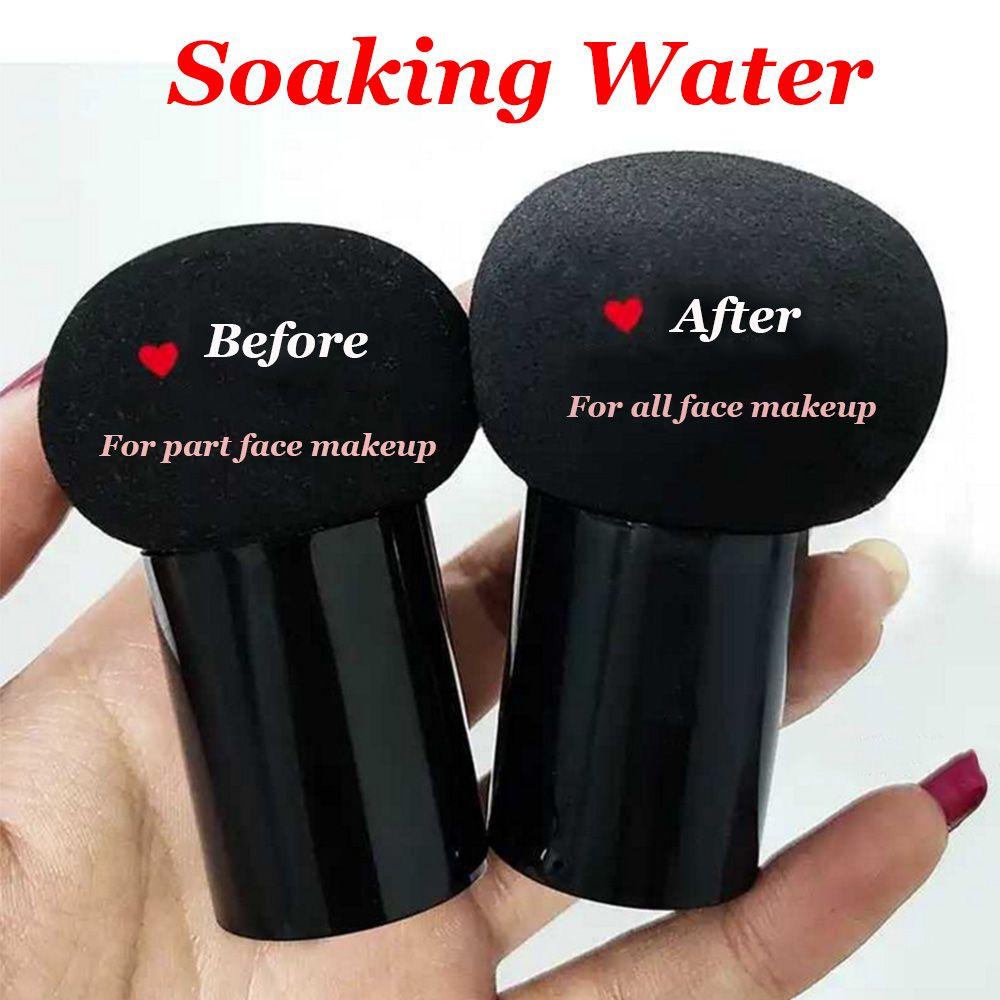 Longlasting Waterproof Foundation Air Cushion BB Cream with Mushroom Puff Sponge Face Makeup