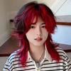 Heat Resistant Mullet Head Wigs with Bangs Synthetic Anime Men Wigs Long Cosplay Wig  Party