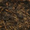 Hunan Anhua Dark Tea 338g Golden Flower Baishaxi 1953 Fucha Brick