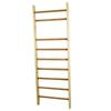 Master Ladder 240 X 70 Cm - Varnished