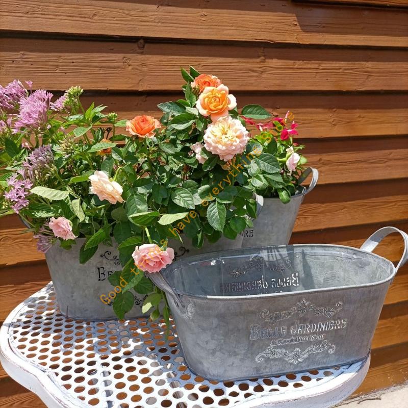 Metall Eimer Pflanzgefäß mit Doppelgriffen Eisen Blumentopf Metall Tablett zur Aufbewahrung 55KF