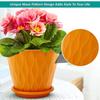 6.3 Inch Flower Pots for Home Decoration, Indoor Plant Pots, Gardening Pots for Plants, Plastic Flower Pots for Garden Plants (5 Colors)