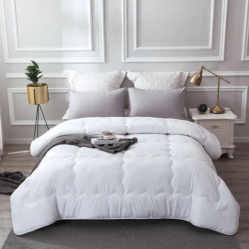 

Garden Dream Comfort Spring Autumn Fiber Quilt