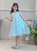 Girls' dress 26 summer new shiny mesh princess dress elegant fairy dress big children's dress