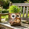 Decorațiuni pentru casă – Ghivece de flori decorative