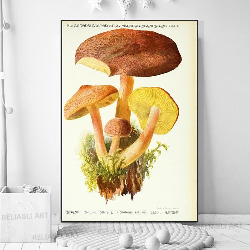 Vintage Mushroom Exemen Malba na plátně Starožitné umění na zeď Bylinné obrazy Vědecké plakáty a grafiky Dekor domácí kanceláře Cuadros