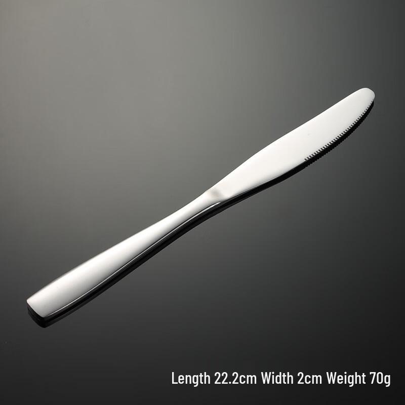 

Qianxing Stainless Steel Square Handle Dinner Knives Set