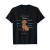 Anatomy Of A Dachshund Badger Dog Dogs T Shirt Vintage Slightly Stretched Comfortable Homme Versatile Soft Graphic