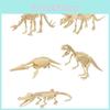 Exciting Diy Dinosaur Skeleton Excavation Kit Realistic Archaeological Model Toy