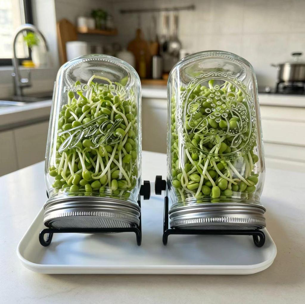 32oz Wide Mouth Stainless Steel Sprouting Mason Jar with Filter Screen Holder