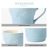Wedgwood Joyful Holiday Blue Mug & Tea Caddy Set