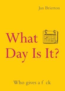 What Day Is It by Jan Brierton Paperback Book 9781848408272