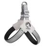 Adjustable Vest Dog Harness and Leash Set for Small to Medium Breeds - Corgi, Shiba Inu, French Bulldog