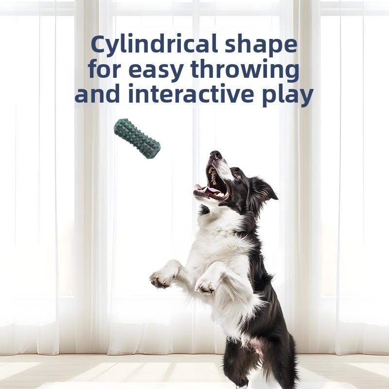 Teething and Cleaning Dog Toys, Large Cylindrical Rubber Dog Pet Toys That Can't Bite Through
