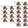 20 Pcs Zinc Alloy Heavy Duty Push Pins Decorative Wall Nails Picture Hangers Metal Thumb Tacks Hardware Red Bronze