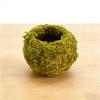 Creative Phalaenopsis Dendrobium Kokedama Moss Ball Plant Pot for Micro Landscape