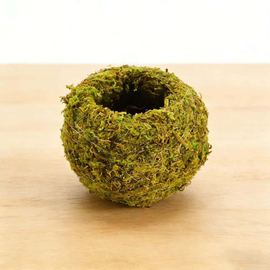 Creative Phalaenopsis Dendrobium Kokedama Moss Ball Plant Pot for Micro Landscape