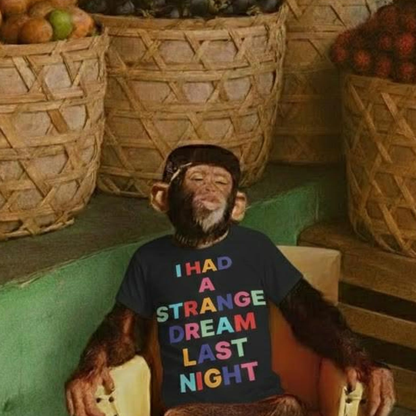 I Had a Strange Dream Last Night T shirt S
