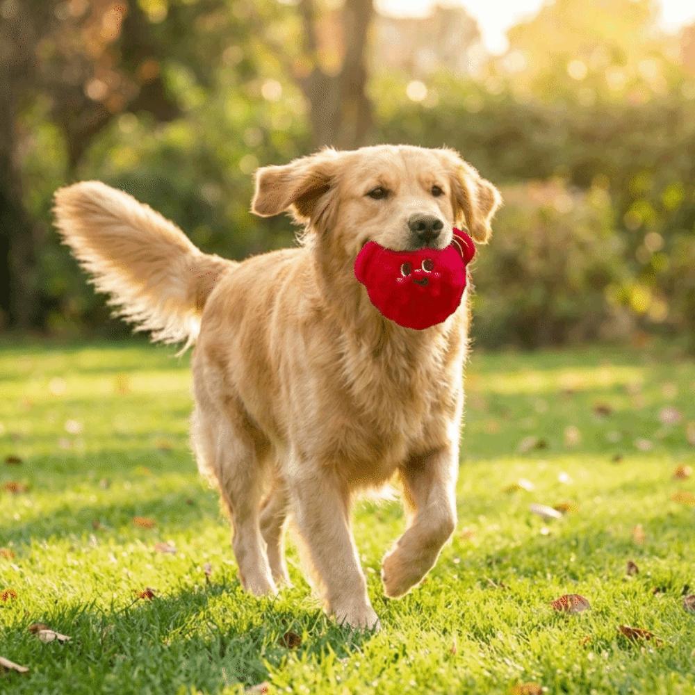 Bite-Resistant Squeaker Dog Toy Cartoon Animal Shaped Toy Dog Grinding Teeth Toys Training