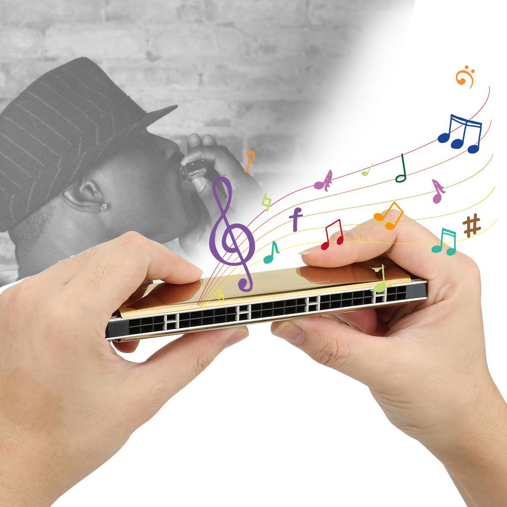 Mundharmonika Professionelle Mundorgel Diatonische Harfe 1,2 mm Messing Grundplatte 24-Loch Polyphon(Goldener D-Schlüssel)