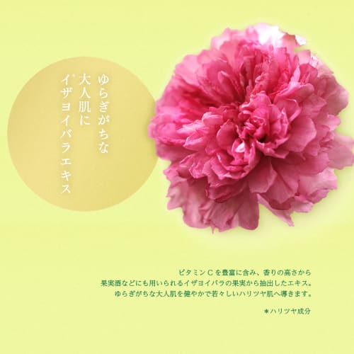Face Mask Pack Lululun Nagano/Yamanashi Lululun (Shine Muscat scent) 1 piece x 5 bags