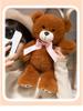 Small Tricolor Ribbon Teddy Bear Plush Doll - 7 or 8 Inch Gift