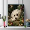 Maltese Pattern  3pcs 100% Round Full Drill 5D DIY Diamond Painting Embroidery Cross Stitch Rhinestone Décor