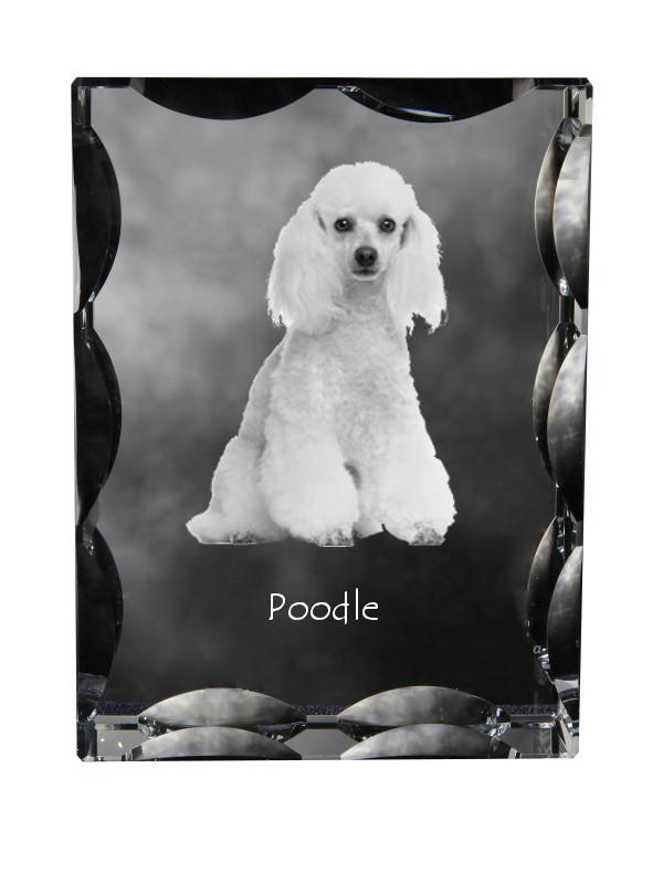 

Poodle - crystal with a picture of a dog, glass statuette with a picture, unique frame with a picture from Art-Dog brand прозорий