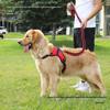 Golden Retriever & Labrador Medium-Large Dog Harness-Leash with Thick, Eight-Strand, Explosion-Proof Rope