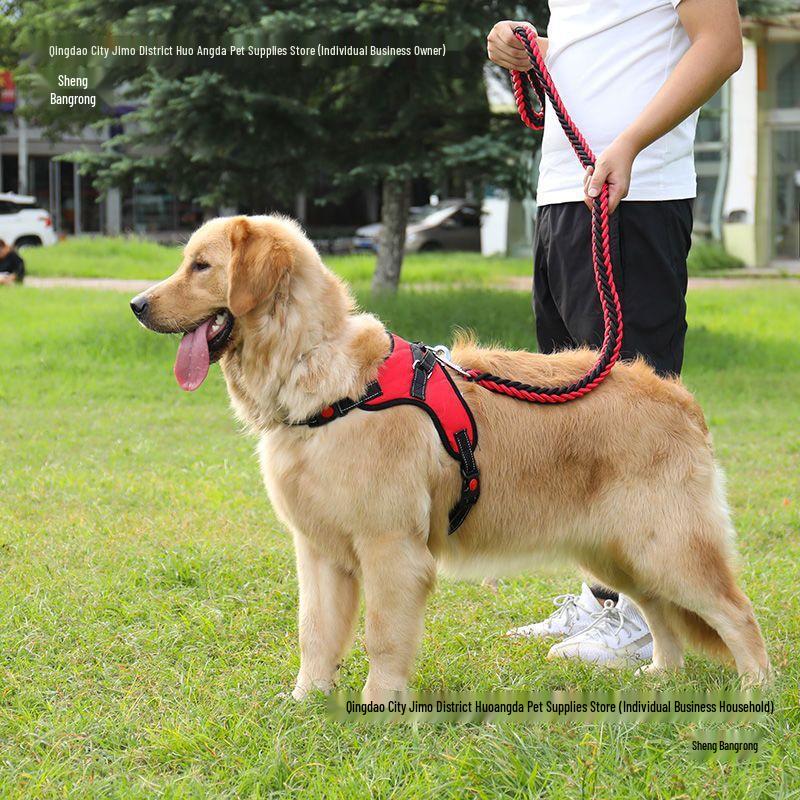 Golden Retriever & Labrador Medium-Large Dog Harness-Leash with Thick, Eight-Strand, Explosion-Proof Rope