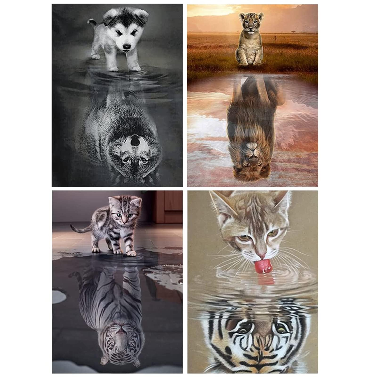 

JISHSHAY Set 5D Diamond Art 30x40cm Diamond Art Diamond Art Diamond Art Lion Full Coverage Type Diamond Beads Animal Bead Art Stickers Artwork Bead