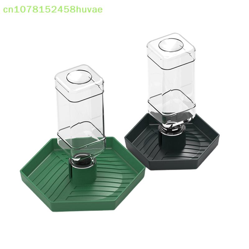 1 Pc Reptile pet terrapin lizard yellow edge reptile food bowl water bowl automatic water dispenser plastic food tray water tray