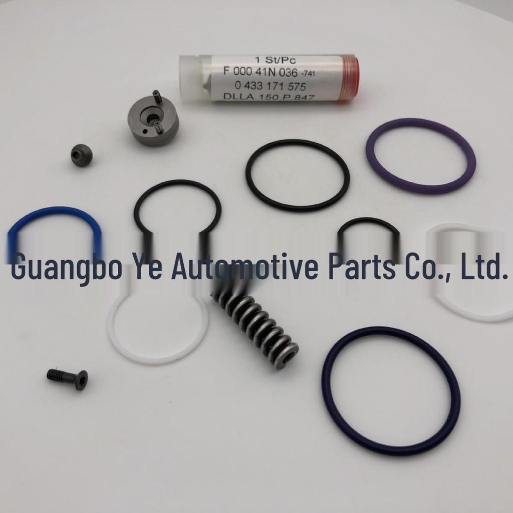 Injector Repair Kit F00041N036 for 1420379 Pump Nozzle