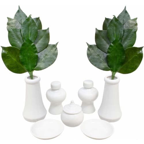 A&K Premium Preserved Sakaki Trees, Small, Pair, Approx. 28cm Tall X 14cm Wide, Made with Premium Tanba Camellia Leaves, Perfect for Shinto Shrine Off