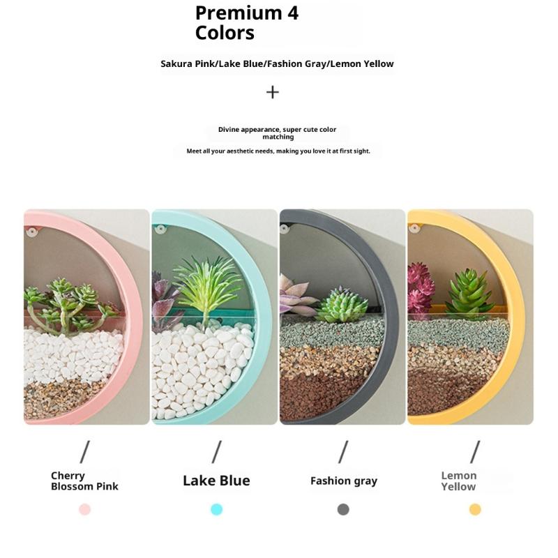 Wall Mounted Plant Hanging Container Easy No Tool Setups Ideal For Green Decoration Vertical Gardening In Compact Area