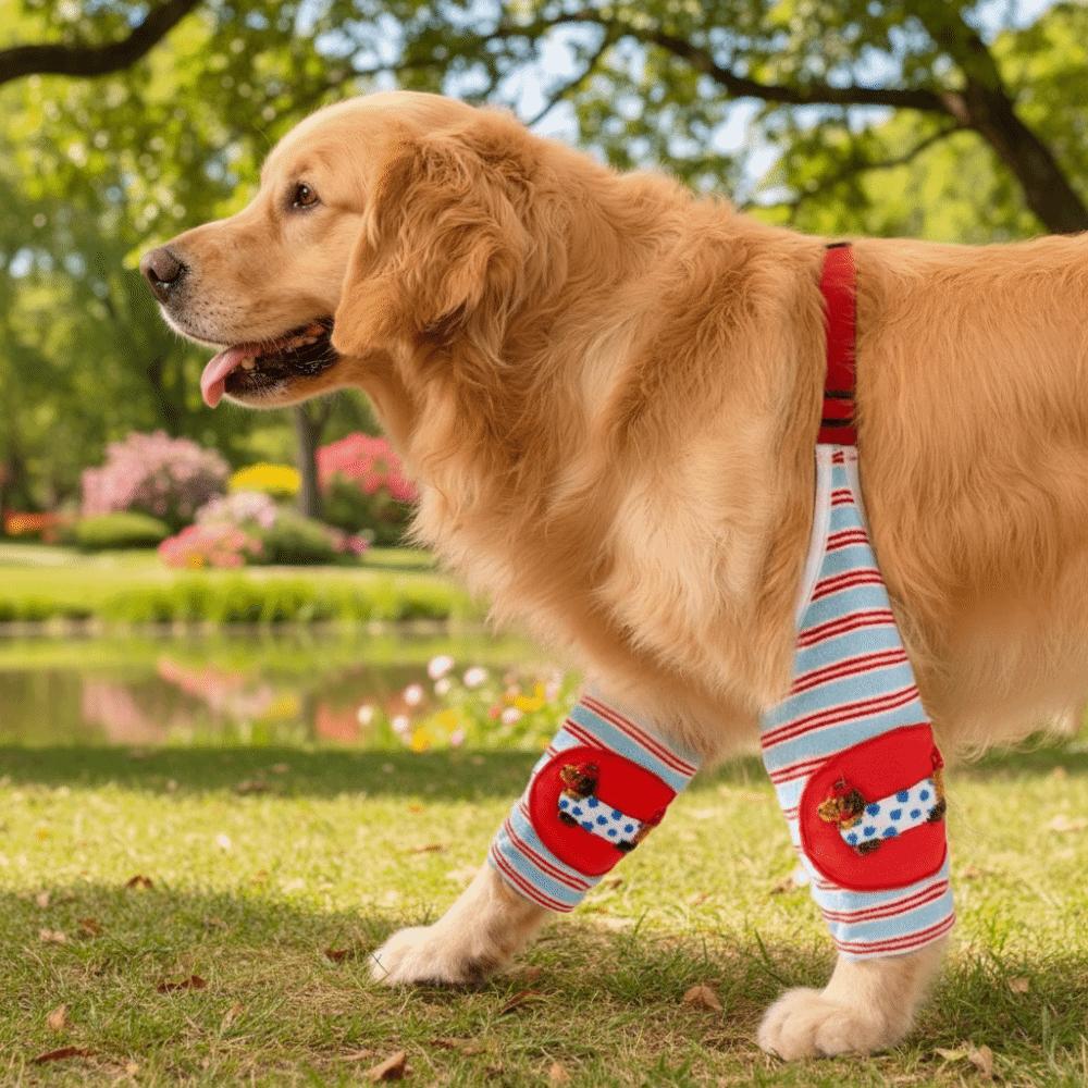 Striped Design Dog Elbow Brace Cartoon Pattern Puppy Joint Protector Dog Knee Pads Large Dogs