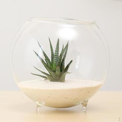 Vase Tisch Mikro-Landschaft Terrarium Topf Behälter