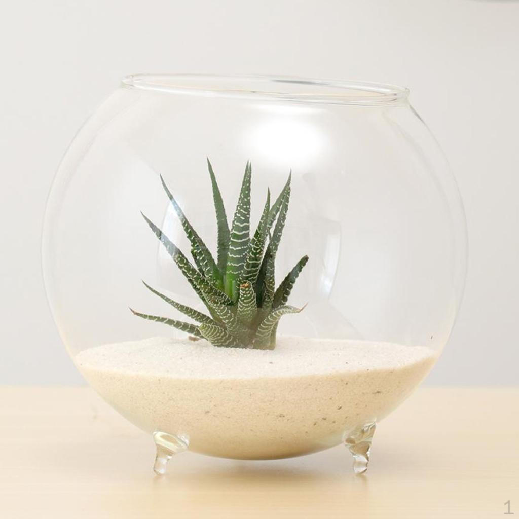 

Vase Table Micro Landscape Terrarium Pot Container A